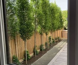SULA Gartenbau GmbH Bild 7