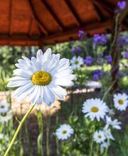 FriedWald Planitzwald Bild 12