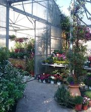 Les Jardins D'Alexandre image 7