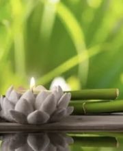 Au Sens du Bien-Etre avec Magalie image 1