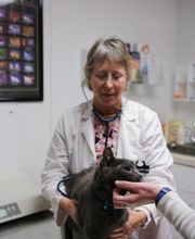 East Hampton Veterinary Group image 13