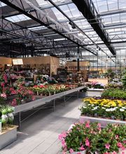 Bucher AG Gartencenter Bild 3