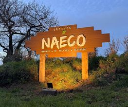Naeco Erdeven image 3