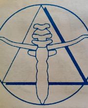 Thibault De Beauregard Pierre image 3