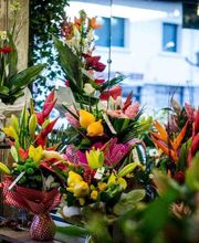 Donzier Fleurs image 2