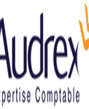 Audrex image 2