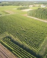 Citeau Christophe image 11