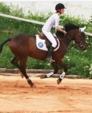 Centre Equestre Jas Des Rocs image 2