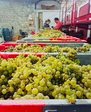 Fleurot Louis image 2