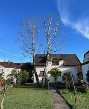 Paulin Jérôme SASU image 1