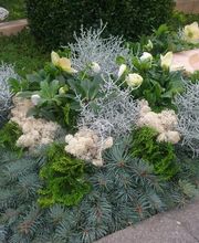 Gärtnerei Felber GmbH Bild 6