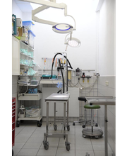 Tierarztpraxis Steinel Jonas Dr. Bild 3