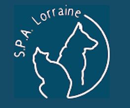 S.P.A Lorraine image 2