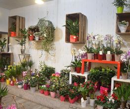 SARL Floréal image 4
