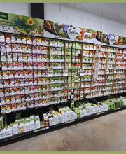 Jardinerie Pontier et Fils Ets image 14