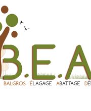 B.E.A.D image 2