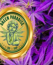 Green Paradise CBD shop & livraison image 1