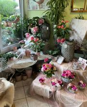 Blumengeschäft Efeulaube Bild 5