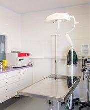 Clinique vétérinaire de Saint-Affrique - Sevetys image 10