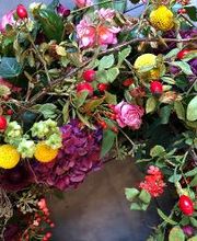 Blumen Meyer Bild 6