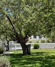 Jacobs Berry Farm image 3