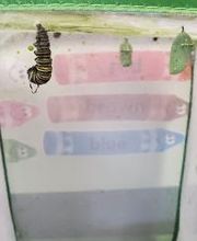 Debary Sonshine Academy image 14