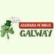 academia-de-ingles-galway-logo.jpg