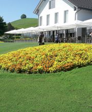 Blumen Bürgler Hirzel Bild 2