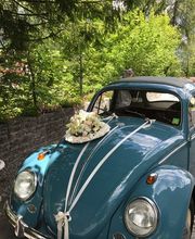 Blumen Candinas / Fluras Candinas Bild 6