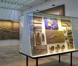 Urwelt-Museum Hauff GmbH & Co. KG Bild 7