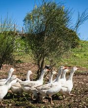 Hotel Fuente del Sol imagen 4