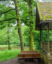 FriedWald Imsbach Bild 11