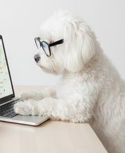 Alisha Schmidt Bild 3