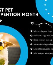 Yuma Insurance, Inc. image 11