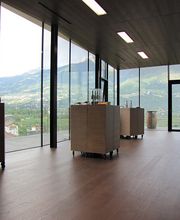 Gallery Cliente
