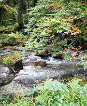 Office de Tourisme de la Chataigneraie Cantalienne image 2