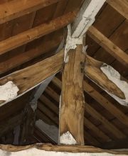 Agence Antiparasitaire du Bois Lignol image 1