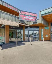 Landes Piscine image 2