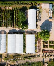 Pépinière Jolijardin image 18