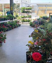 Bricomarché Saverdun image 10