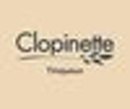 Clopinette Cigarette Électronique image 2