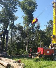 Entreprise forestière Daniel Ruch SA Bild 2