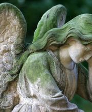 Bestattungen Brinkmann Bild 1