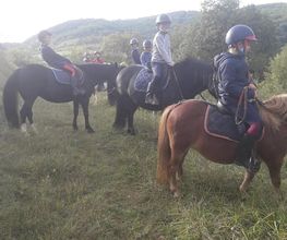 Centre Equestre De La Guérinière image 7