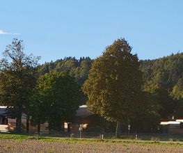 Keplinger Holz Stammham Bild 3