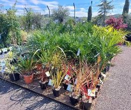 GAMM VERT image 15