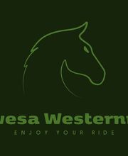 Carowesa Westernreiten Bild 1
