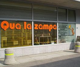 Qua la Zampa di Alessia Milani Termini Bild 1
