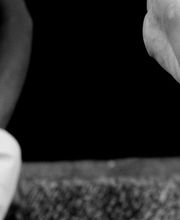 Ashtanga Yoga Canarias Las Palmas, Oficial imagen 6