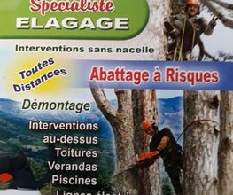 Elagage Abattage à Risque image 1